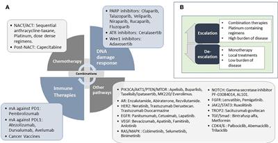 Precision Breast Cancer Medicine: Early Stage Triple Negative Breast Cancer—A Review of Molecular Characterisation, Therapeutic Targets and Future Trends